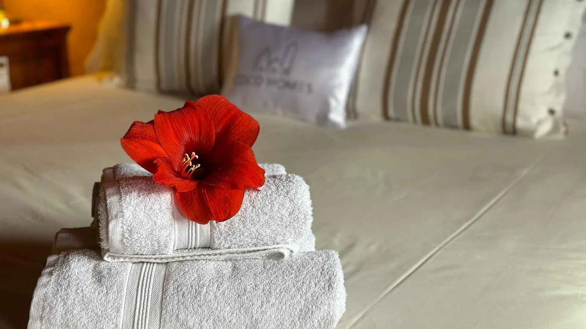 Finca Las Madrecitas La Orotava Country house