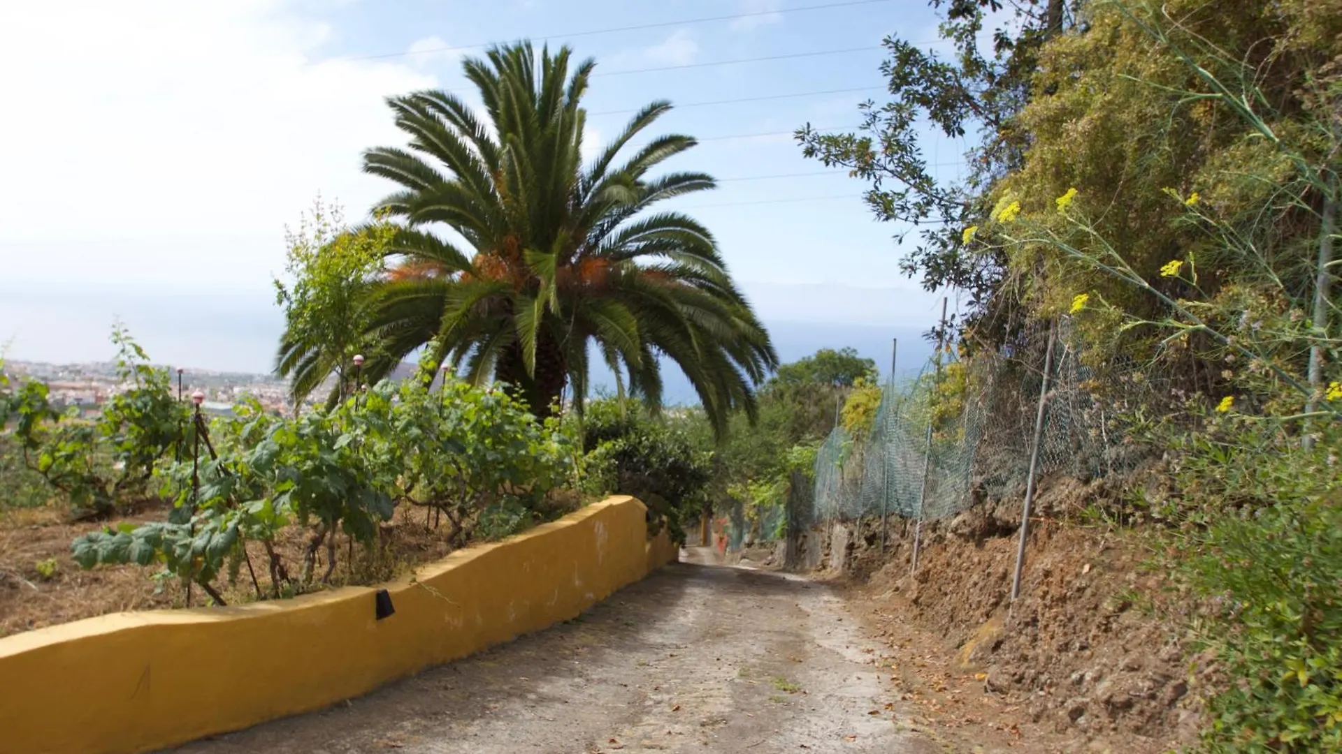 Country house Finca Las Madrecitas La Orotava