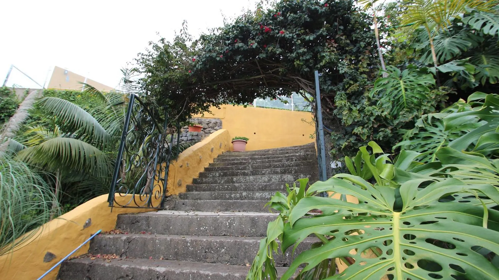 Finca Las Madrecitas La Orotava Spain