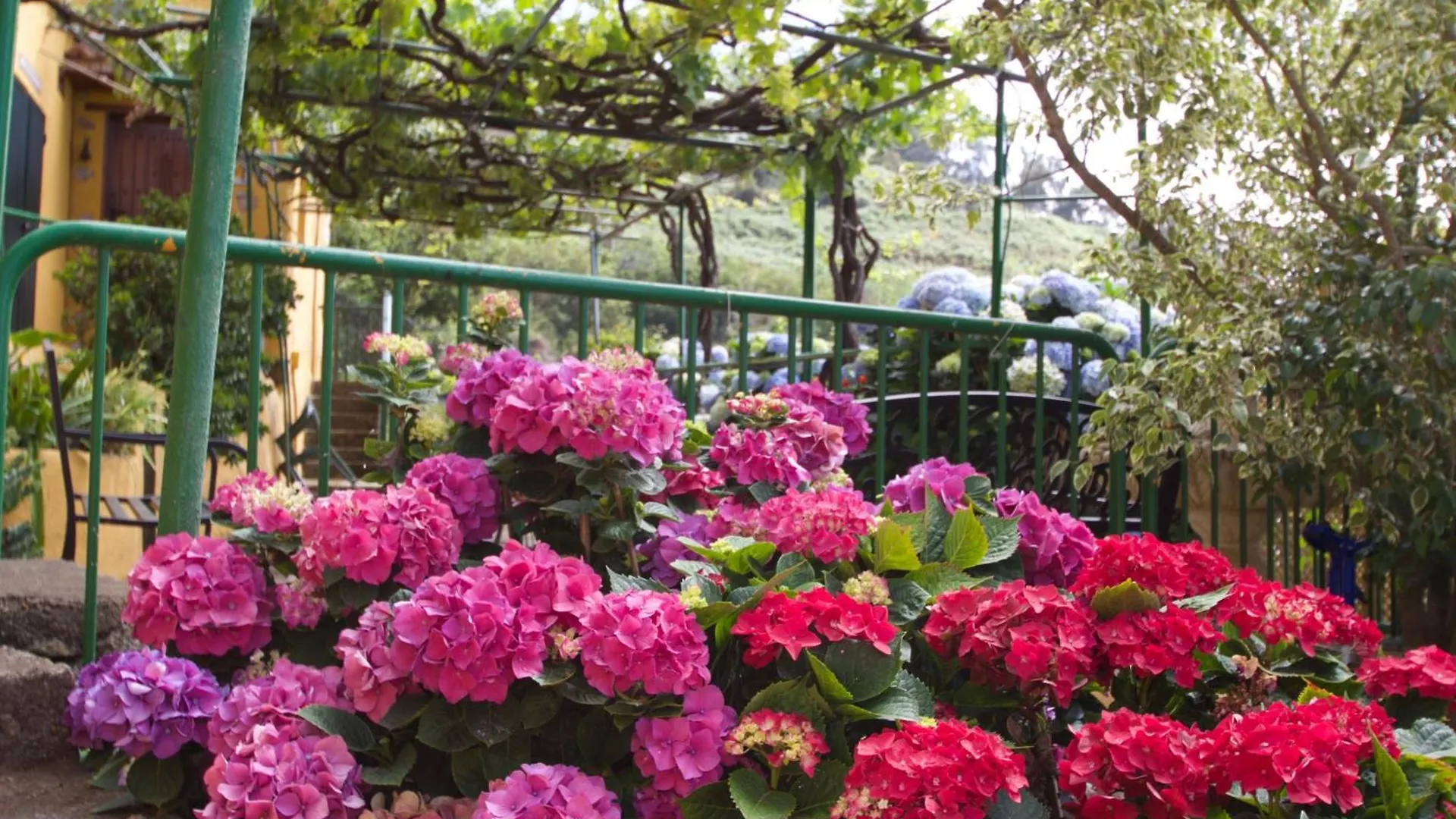Country house Finca Las Madrecitas La Orotava Spain