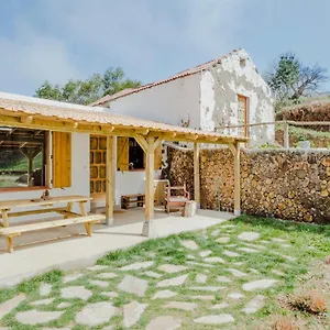 El Pino Centenario 8 Villa