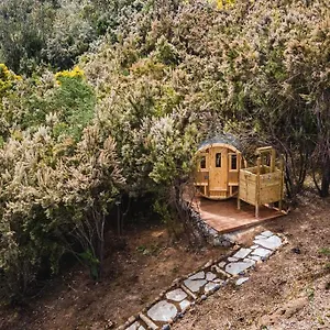Villa El Pino Centenario 3 Con Sauna, La Orotava